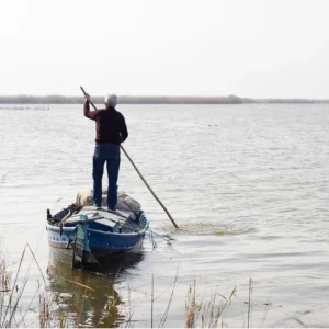 Albufera de Valencia